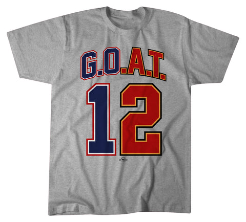 Image of "GOAT 12" Tampa/New England Gray T-shirt