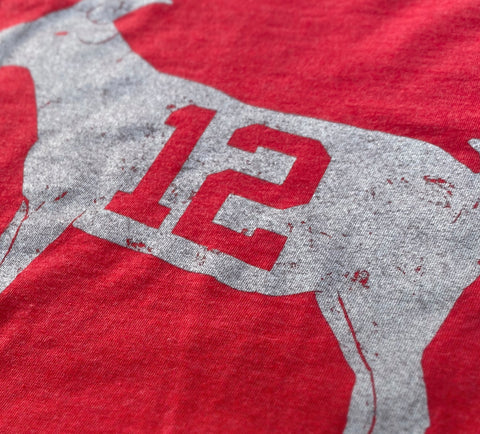 Image of "GOAT 12" Red Tampa Bay T-shirt