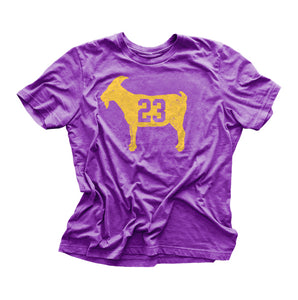 "GOAT 23" Purple Vintage T-shirt